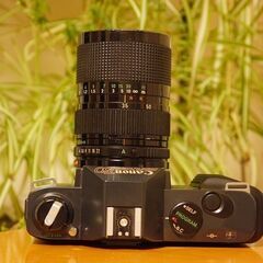 CANON T50 フィルムカメラ（ジャンク扱い）の画像