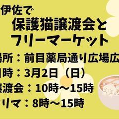 伊佐で保護猫譲渡会&にゃんにゃんフリーマーケット