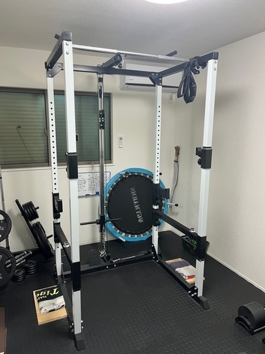 激レア 日本ハムファイターズ 斉藤佑樹投手 実使用スパイク