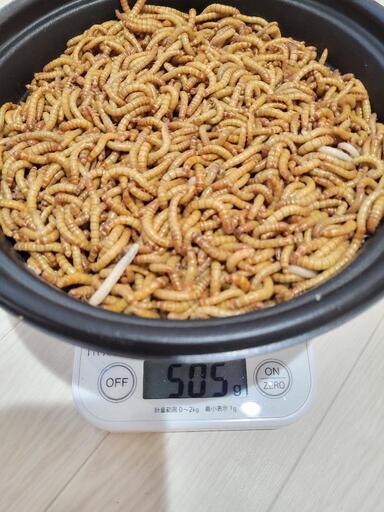 ミルワーム 2,000ｇ\u003cオンライン決済専用\u003e