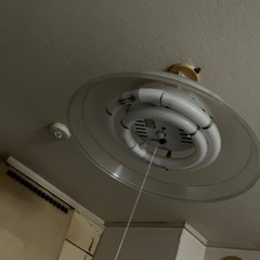電球