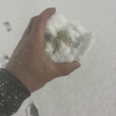 ３月２日　四日市松原野球場助っ人募集