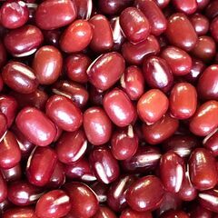 令和6年　北海道十勝産 小豆　特撰　300g