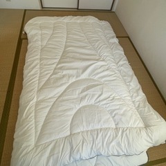 TEIJIN 帝人　掛け&敷布団　ふとん