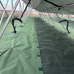 急募！！26日防草シート
