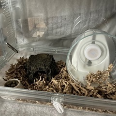 ヤマネ飼育ケージセット