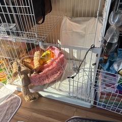 猫2段ケージの画像