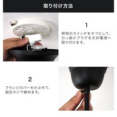 シャンデリア　　マットブラックの画像