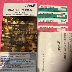 【お値下げ】ANA 株主優待　冊子　チケット　旅行　飛行機