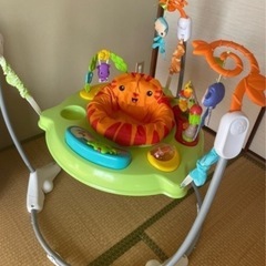 フィッシャープライスジンバルー
の画像