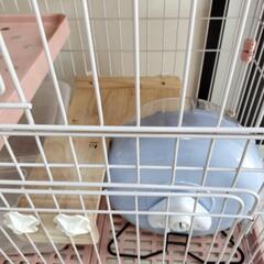 小動物用　猫　ゲージ　小屋の画像