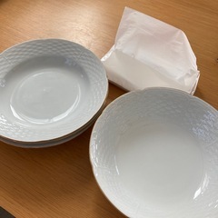 VILLA ADAM AND EVE 
大皿4枚セット