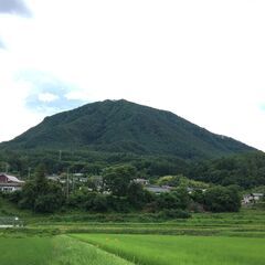 仲間募集　自然農を実践されたい方 - 小県郡