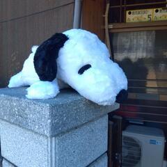 ぬいぐるみの画像