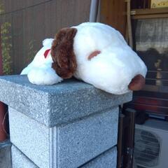 ぬいぐるみの画像