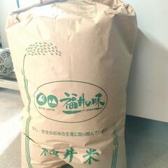 福井県の玄米の中古が安い！激安で譲ります・無料であげます