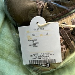 15cm 　サニーランドスケープの画像