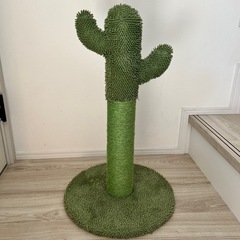 猫爪とぎ(サボテン)