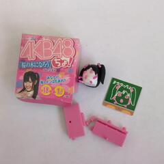 ぷっちょAKB48のおまけの画像