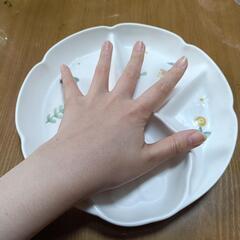 仕切り皿の画像