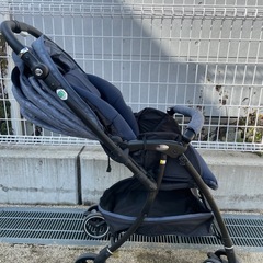 ラクーナエアー　クルリーの画像