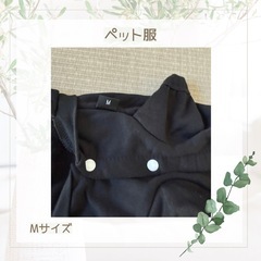 ペット服　Mサイズの画像