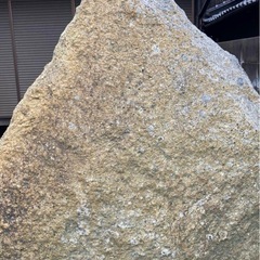 巨大庭石　国産石　鑑賞石　庭　坪庭　ガーデニング　置物　オブジェ170cm①の画像
