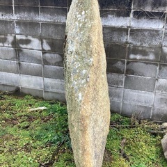 巨大庭石　国産石　鑑賞石　庭　坪庭　ガーデニング　置物　オブジェ170cm①の画像
