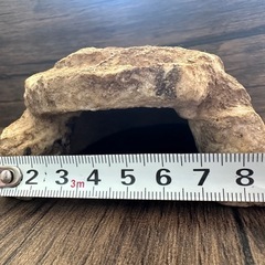 ロックシェルター の画像