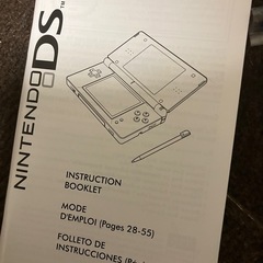 ニンテンドーDSライト希少海外製の画像