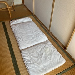 IKEAのPOÄNG/ポエングの画像