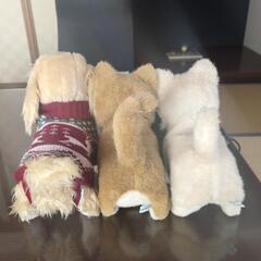 動くぬいぐるみの画像