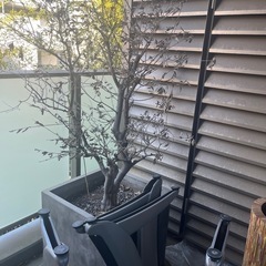 植木鉢