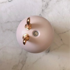 値下げしました‼️うさぎの加湿器の画像