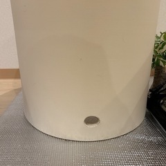 よもぎ蒸しセットの画像