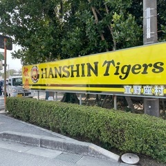 阪神タイガース女性ファンの方