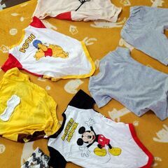 早いもの勝ち。これから暖かくなるので良かったらの画像