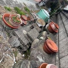 植木鉢