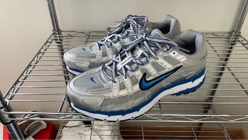 NIKE ナイキ　p6000 25.5cm
