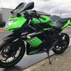 カワサキ Ninja ニンジャ250SL BX250A 低走行9373km 実動 書類付き 吹け上がり良好 通勤 通学 サーキット カスタムベースにもの画像