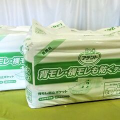王子製紙 大人用おむつ 背モレ・横モレも防ぐテープ式　2個セット　