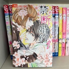 少女漫画『禁断婚約』1-13話の画像