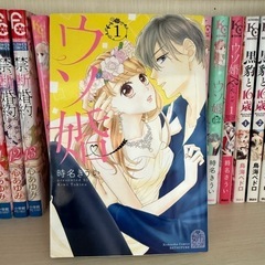 少女漫画『ウソ婚』1~12話+1話の画像
