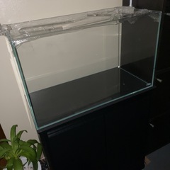 ADAを始め色々アクアリウム用品多数の画像