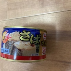 サバ缶　缶詰