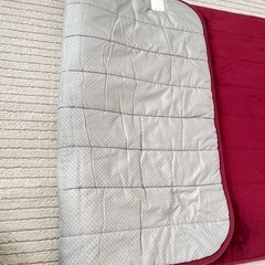 【値下げしました】洗える電気カーペットの画像
