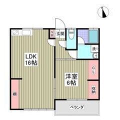 💛🧡初期費用8万円パック＆フリーレント1ヶ月付き🧡💛ペット飼育相...