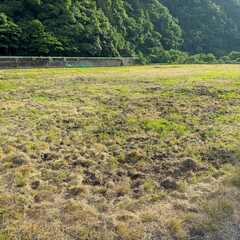 価格応談◾️国道沿い☆安芸太田町(加計方面)田んぼ付の古民家で自給生活はいかがですか？　 - 山県郡