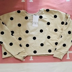 ZARA ドット　ショート丈　トップス