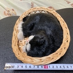 籠に入った、ハチワレ猫のぬいぐるみの置物の画像